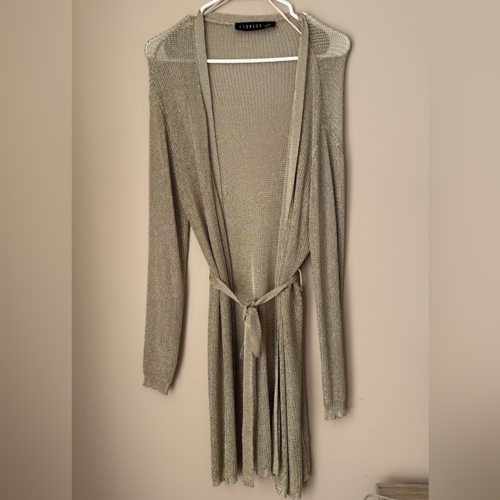 Lioness Light Gold Mesh Dress